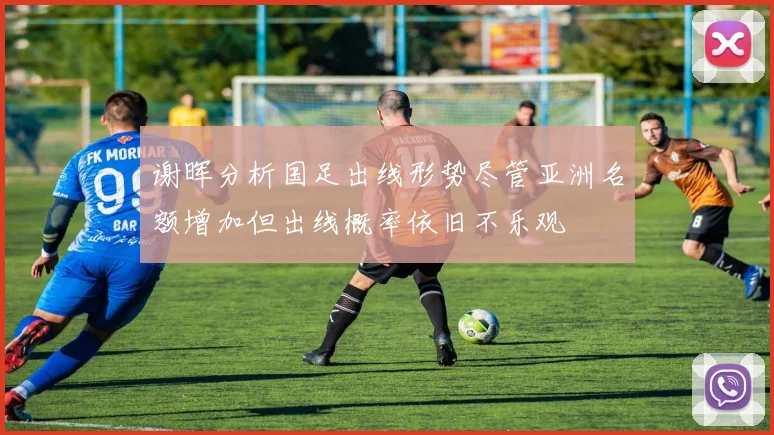 谢晖分析国足出线形势尽管亚洲名额增加但出线概率依旧不乐观
