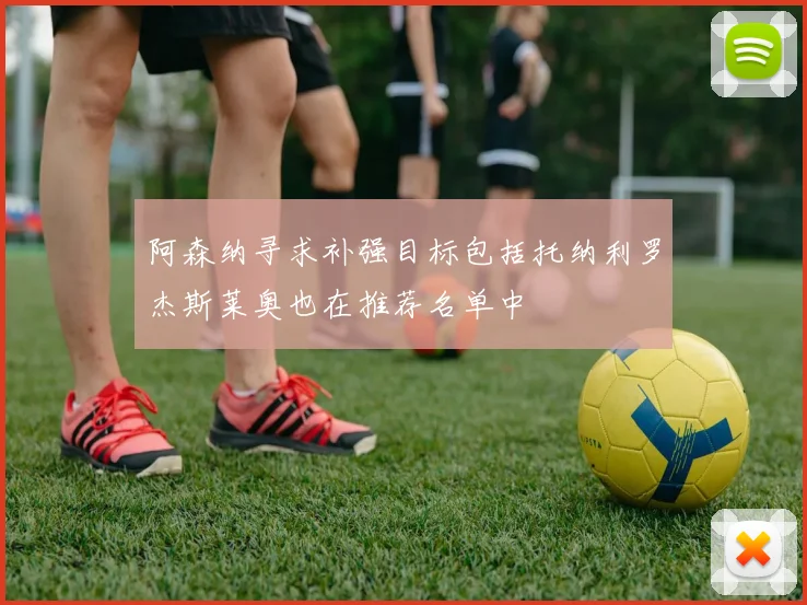阿森纳寻求补强目标包括托纳利罗杰斯莱奥也在推荐名单中